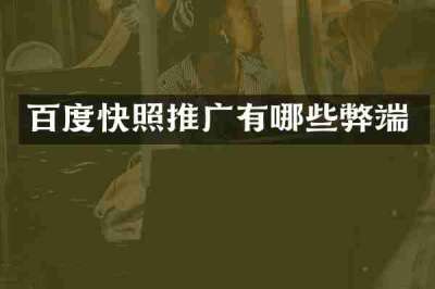 百度快照推广有哪些弊端