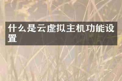 什么是云虚拟主机功能设置