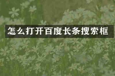 怎么打开百度长条搜索框