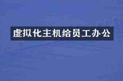 虚拟化主机给员工办公