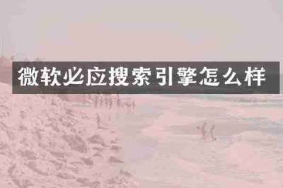 微软必应搜索引擎怎么样