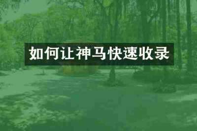 如何让神马快速收录