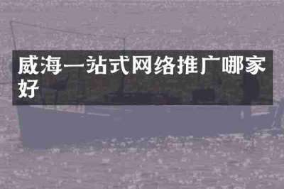 威海一站式网络推广哪家好