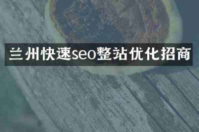 兰州快速seo整站优化招商
