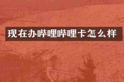 现在办哔哩哔哩卡怎么样