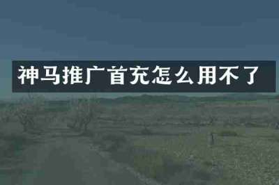 神马推广首充怎么用不了