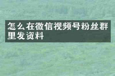 怎么在微信视频号粉丝群里发资料