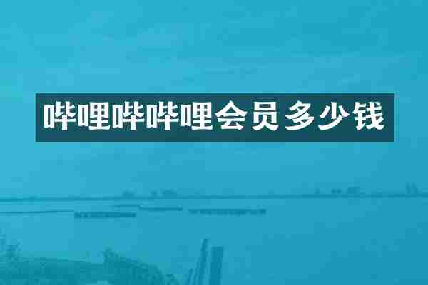 哔哩哔哔哩会员多少钱