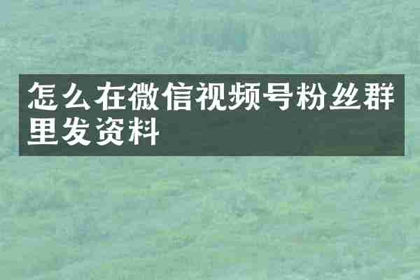 怎么在微信视频号粉丝群里发资料