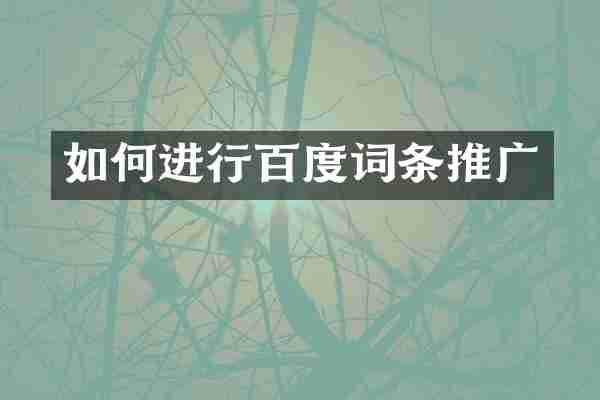 如何进行百度词条推广