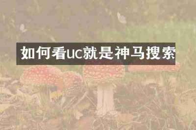 如何看uc就是神马搜索
