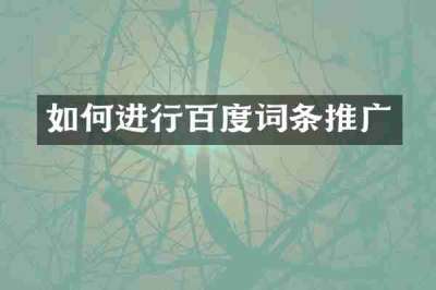 如何进行百度词条推广