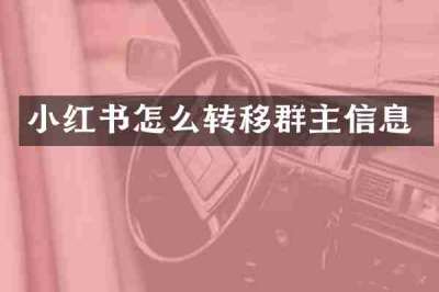 小红书怎么转移群主信息