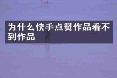 为什么快手点赞作品看不到作品
