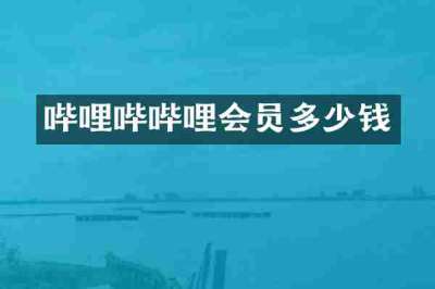 哔哩哔哔哩会员多少钱