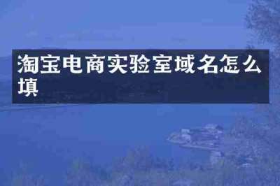 淘宝电商实验室域名怎么填