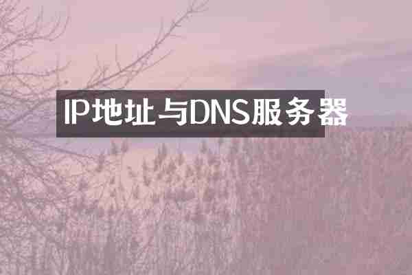 IP地址与DNS服务器