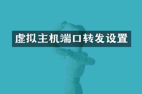 虚拟主机端口转发设置