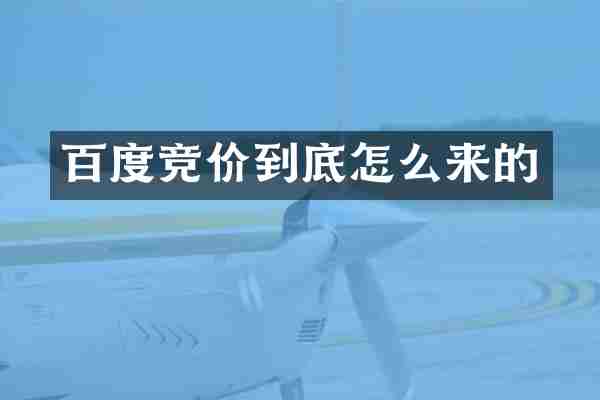 百度竞价到底怎么来的