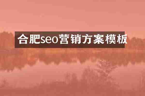 合肥seo营销方案模板
