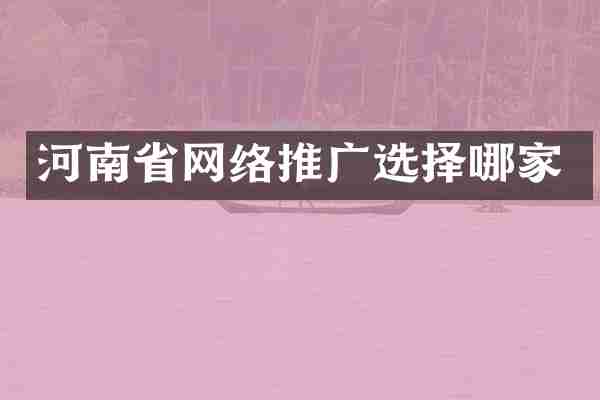 河南省网络推广选择哪家