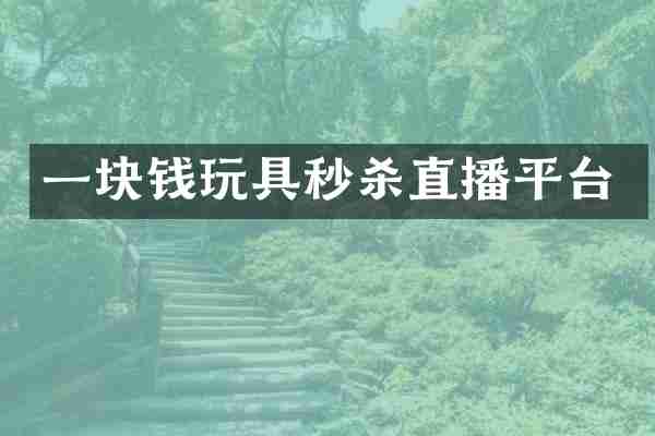 一块钱玩具秒杀直播平台