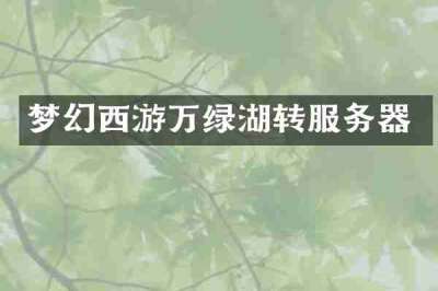 梦幻西游万绿湖转服务器