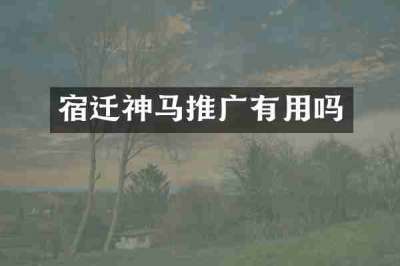 宿迁神马推广有用吗