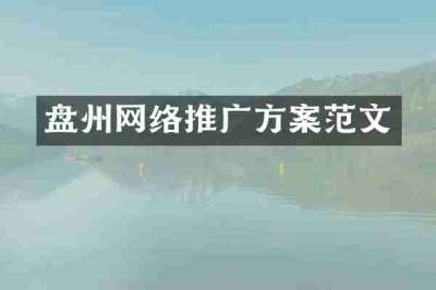 盘州网络推广方案范文
