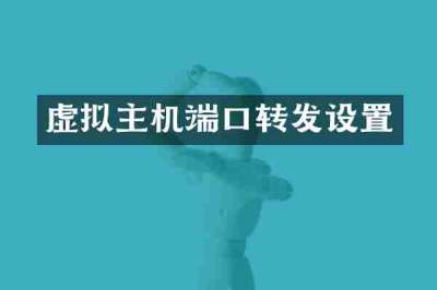 虚拟主机端口转发设置