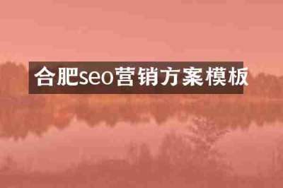 合肥seo营销方案模板