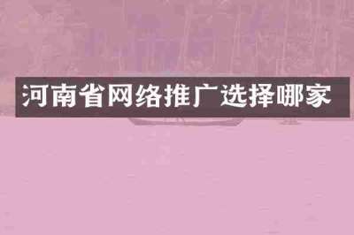 河南省网络推广选择哪家