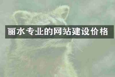丽水专业的网站建设价格