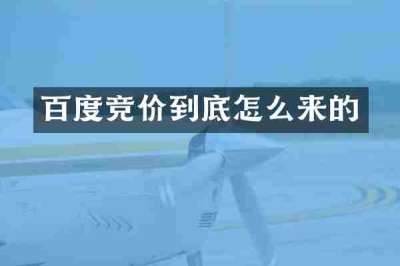 百度竞价到底怎么来的