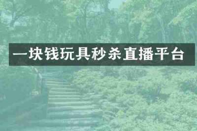 一块钱玩具秒杀直播平台