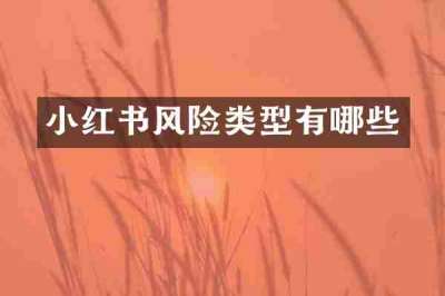 小红书风险类型有哪些