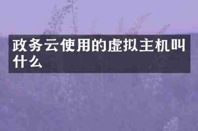 政务云使用的虚拟主机叫什么