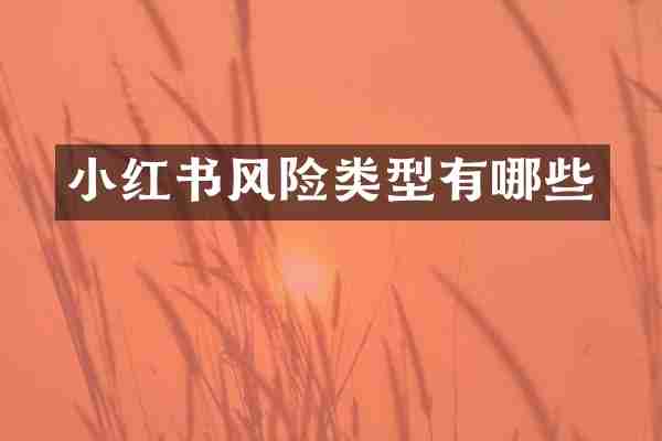 小红书风险类型有哪些