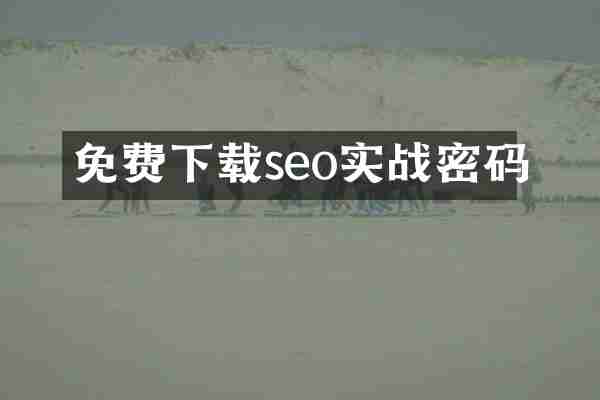 免费下载seo实战密码