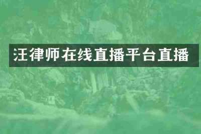 汪律师在线直播平台直播
