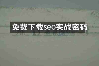 免费下载seo实战密码