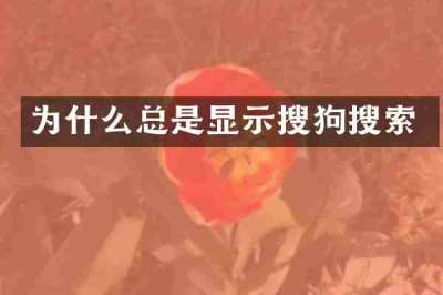 为什么总是显示搜狗搜索