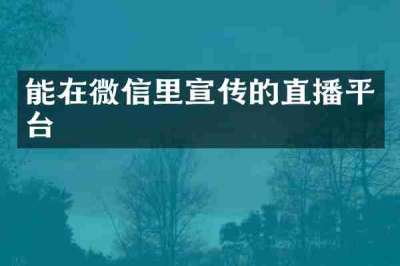 能在微信里宣传的直播平台