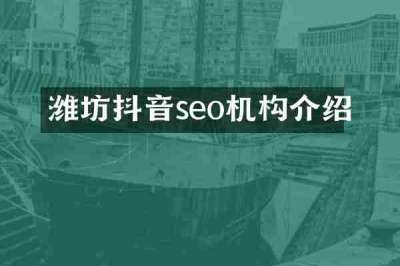 潍坊抖音seo机构介绍