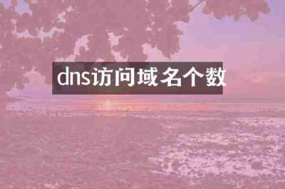 dns访问域名个数