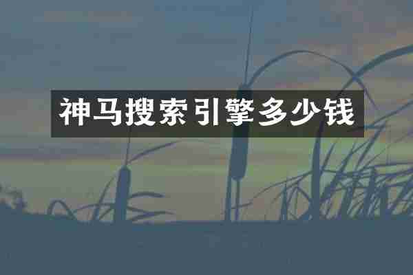 神马搜索引擎多少钱