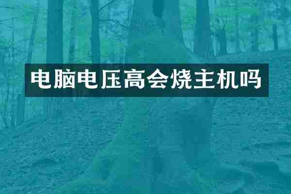 电脑电压高会烧主机吗