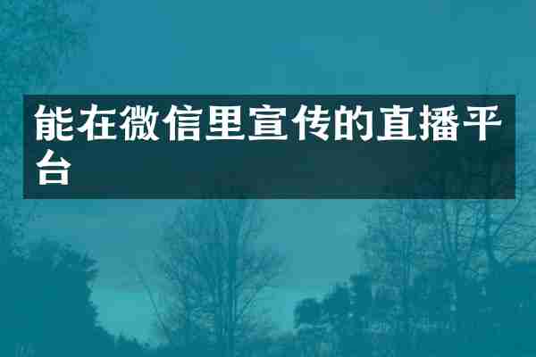 能在微信里宣传的直播平台