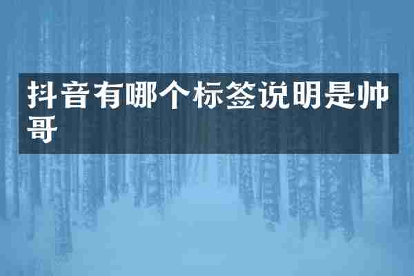 抖音有哪个标签说明是帅哥
