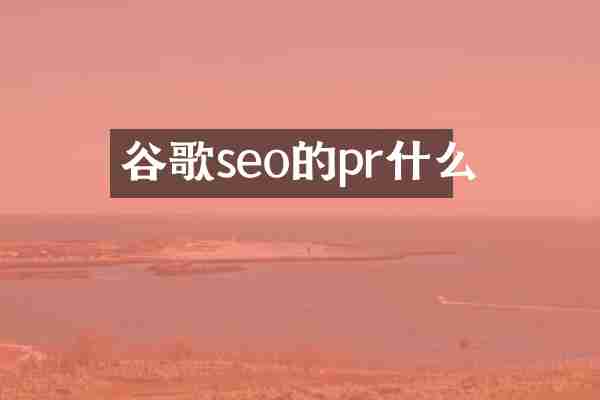谷歌seo的pr什么